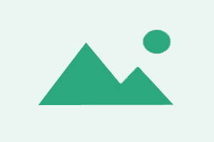 Zhizhen Schematics Activation (1 User / 6 Months)